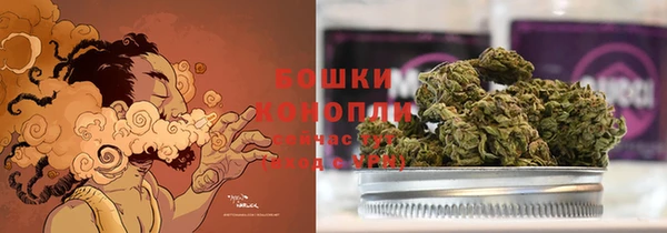 экстази Дмитриев