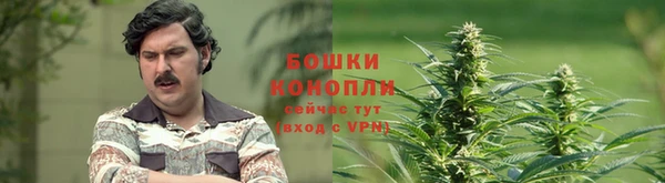 прущие крисы Новокубанск