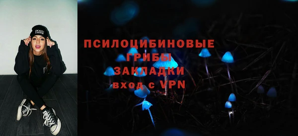 PSILOCYBIN Дмитровск