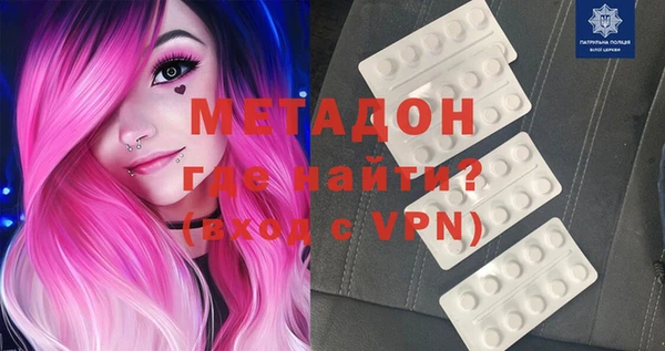 прущие грибы Новозыбков