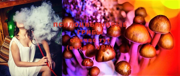 PSILOCYBIN Дмитровск