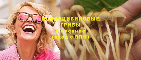PSILOCYBIN Дмитровск