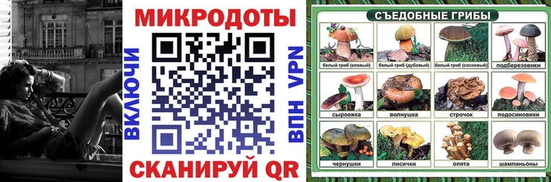 Псилоцибиновые грибы мицелий Онега